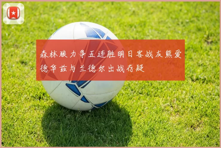 森林狼力争五连胜明日客战灰熊爱德华兹与兰德尔出战存疑
