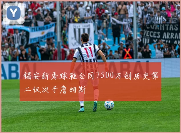锡安新秀球鞋合同7500万创历史第二仅次于詹姆斯